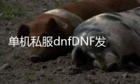 单机私服dnfDNF发布网与勇士（dnf单机版端游）