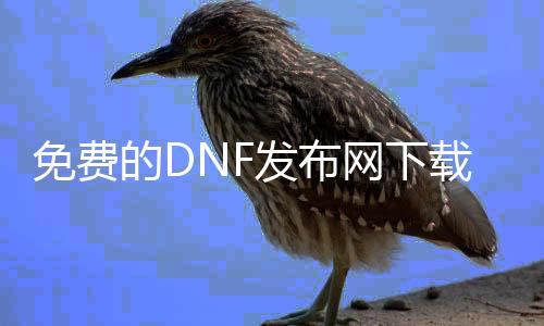 免费的DNF发布网下载