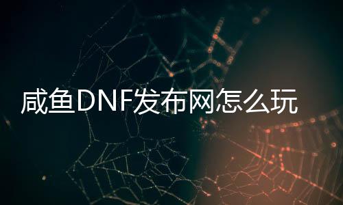 咸鱼DNF发布网怎么玩（闲鱼买dnf账号）