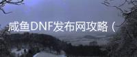 咸鱼DNF发布网攻略（闲鱼dnf金币怎么交易）