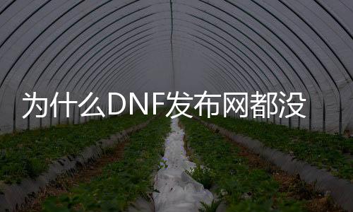 为什么DNF发布网都没有女鬼剑（dnf女鬼剑没有转职任务）