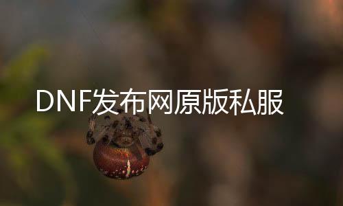 DNF发布网原版私服