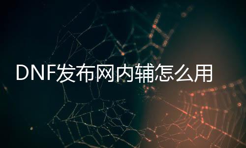 DNF发布网内辅怎么用（dnf私免费辅助下载）