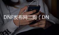 DNF发布网二狗（DNF发布网狗二比赛视频）