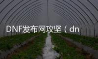 DNF发布网攻坚（dnf攻坚队列表）