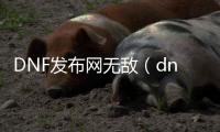 DNF发布网无敌（dnf无敌代码）