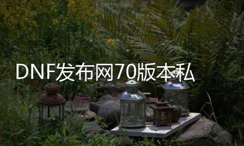 DNF发布网70版本私服外挂