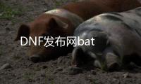 DNF发布网bat