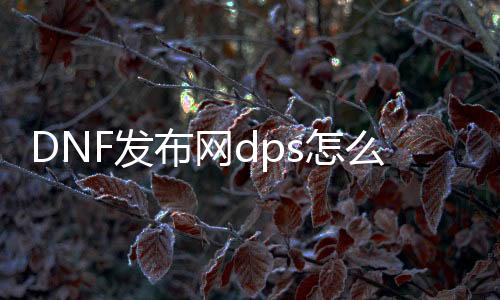 DNF发布网dps怎么看（DNF发布网怎么看输出数据）