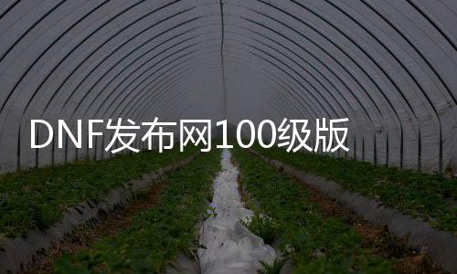 DNF发布网100级版本私服