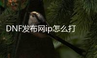 DNF发布网ip怎么打