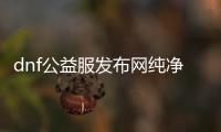 dnf公益服发布网纯净客户端（dnf公益服发布网怎么赚钱）