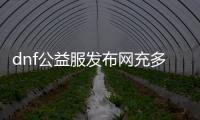 dnf公益服发布网充多少合适（推荐合适的充值金额）