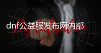 dnf公益服发布网内部游戏（dnf公益服发布网啥意思）