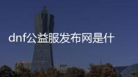 dnf公益服发布网是什么平台（地下城公益服发布网什么意思）