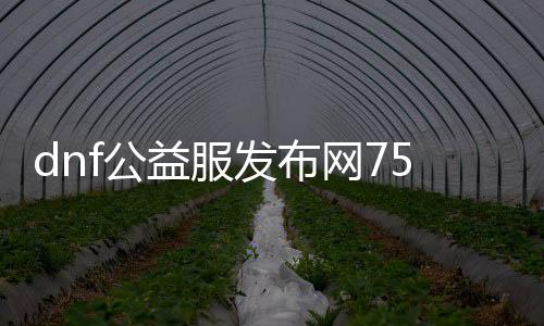 dnf公益服发布网75级（快速升级攻略）