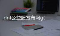 dnf公益服发布网g(最新开服公告)