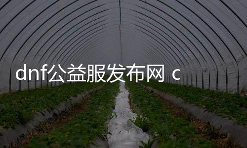 dnf公益服发布网 ce（dnf公益服发布网网站发布网）