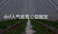 dnf人气最高公益服发布网（dnf公益服发布网啥意思）