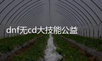 dnf无cd大技能公益服发布网（DNF发布网无cd什么职业好玩）