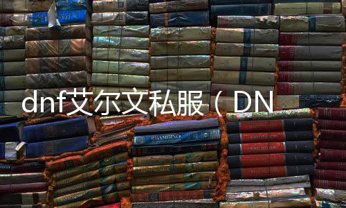 dnf艾尔文私服（DNF发布网手游艾尔文防线后下一个区）