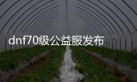 dnf70级公益服发布网图片（dnf70公益服发布网网站）