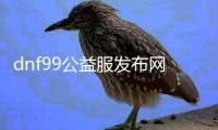 dnf99公益服发布网（了解dnf99公益服发布网的特色和玩法）