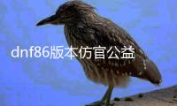 dnf86版本仿官公益服发布网（dnf公益服发布网）