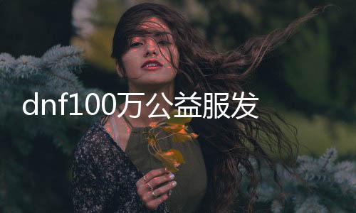 dnf100万公益服发布网（dnf100级公益服发布网哪个最好）