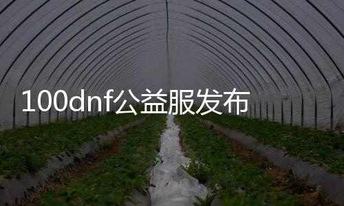 100dnf公益服发布网时间,100dnf公益服发布网最新消息